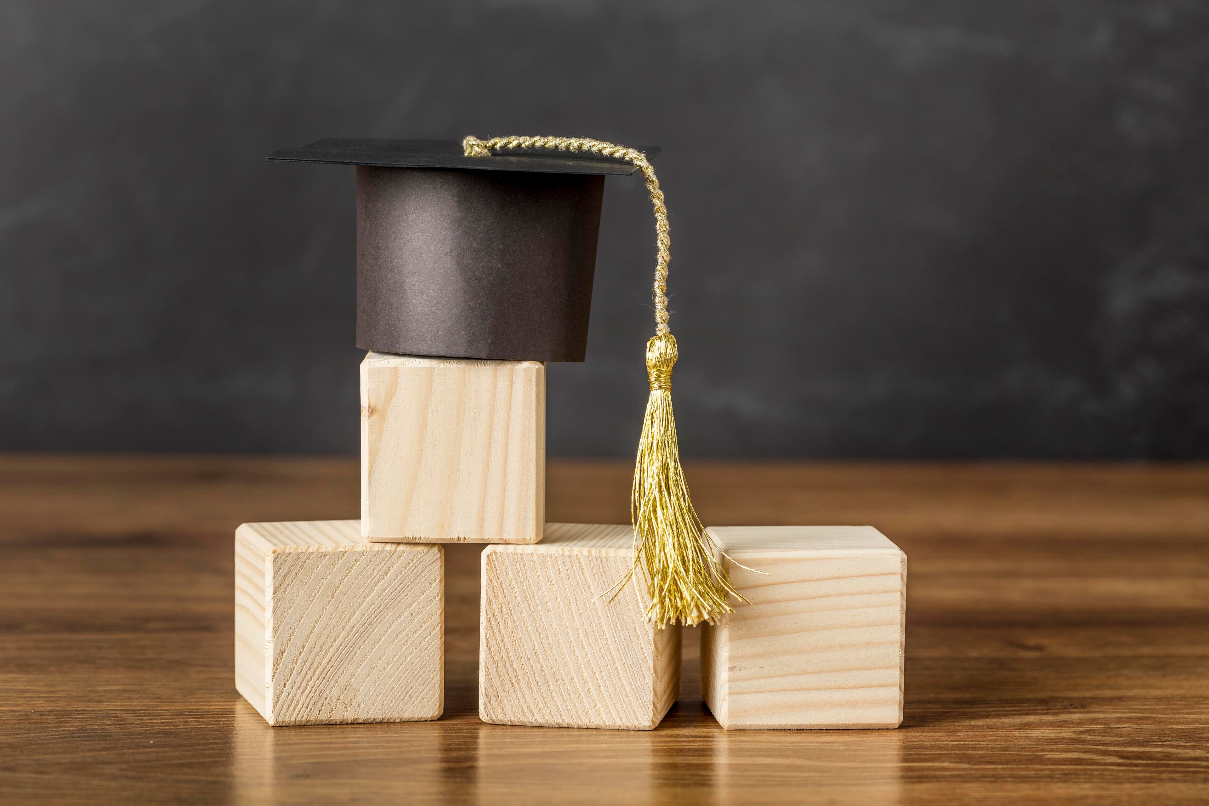 Certifications and language programs for institutional excellence.